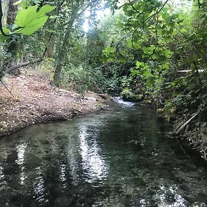 Bosque Alto El Bosque