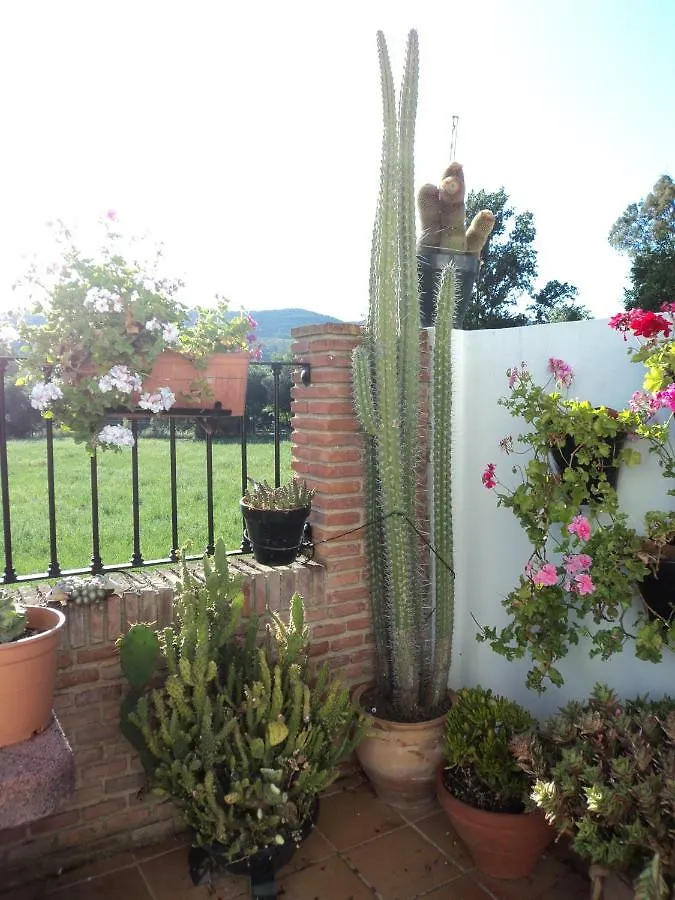 Apartamentos Las Juanas El Bosque Apartment